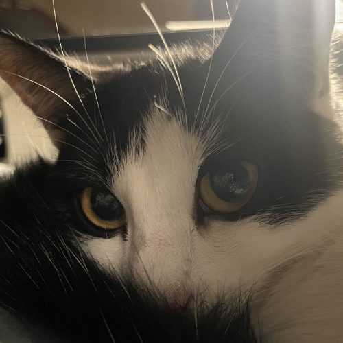 cannot get over you !