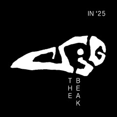 I Thought You Were My Brother