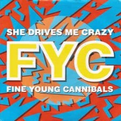 Fine Young Cannibals - She Drives Me Crazy (Studio Acapella and Stems)