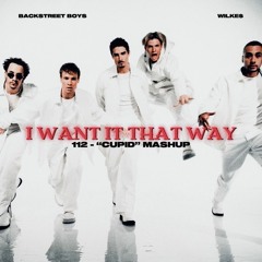 Backstreet Boys- I Want it That Way (WILKE$ Remix) 112- "Cupid" Mashup