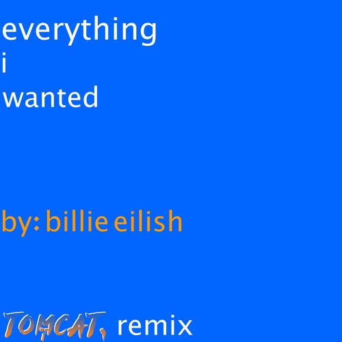 Everything I Wanted (tomcat. Remix)