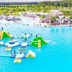 Best Birthday Things To Do In Tampa Tours Reviews