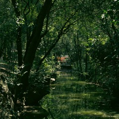 la naturaleza (asia menor cover)