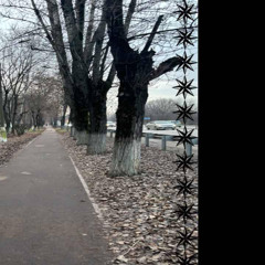 управление ауц