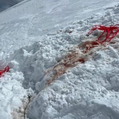 Ep 82 - Impaled On Mt Rainier - Aavron