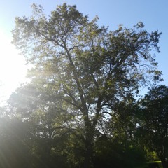 Grotto (Prod. HIGH TOONES)