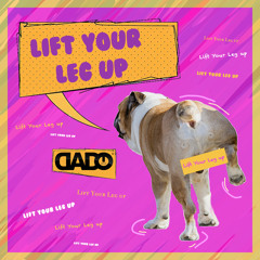 DJ DADO - Lift your leg up