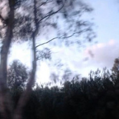 Don't hate me (p.syring angel