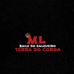 APROVEITA E DESCE A PERERECA - BAILE DO SALGUEIRO (DJ ML DO SALGUEIRO)