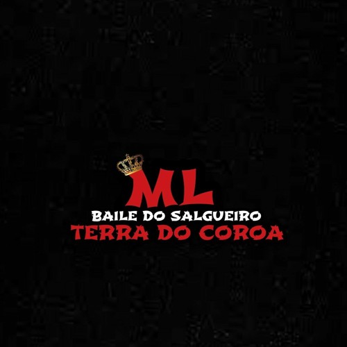 APROVEITA E DESCE A PERERECA - BAILE DO SALGUEIRO (DJ ML DO SALGUEIRO)