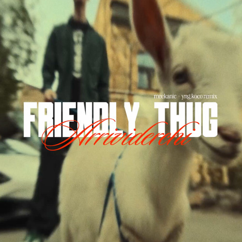 FRIENDLY THUG 52 NGG Arrividerchi (meekanic + yng_koco remix)