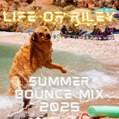 Life Of Riley - Summer Bounce Mix 2025 (Free Download)