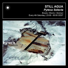 STILL AGUA - PYTECA SELECTA 017 - ROUGHRADIO.LIVE