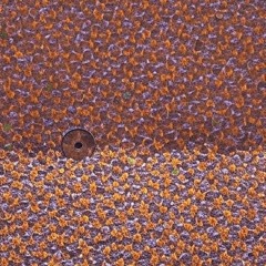 Metanoia