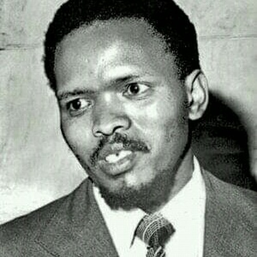 Stream FVBB x Trap STEVE BIKO Tuesday Freestyle101 by FVBB | Listen ...