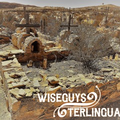 04 Terlingua