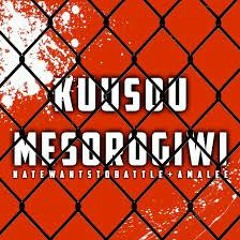 Future Diary FULL ENGLISH OPENING