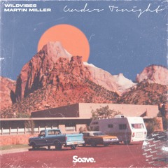 WildVibes & Martin Miller - Under Tonight