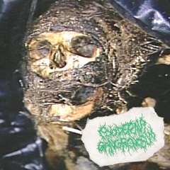 SAPROPHYTIC BACTERIA