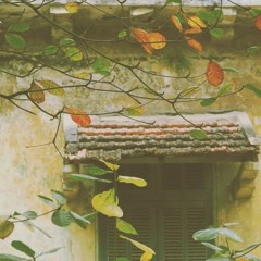 Cố Thức Đến Mùa Cây Thay Lá