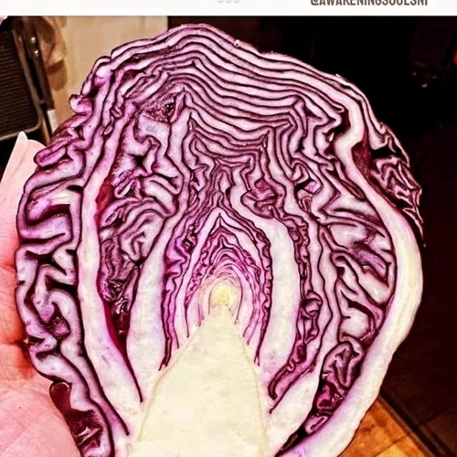 RED CABBAGE - GRAMMA K - SLOWED