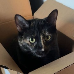 cattywampus