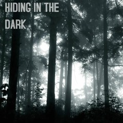 Hiding In The Dark (Radio Edit)