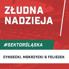 Złudna nadzieja (podcast Sektor Śląska odc. 113)
