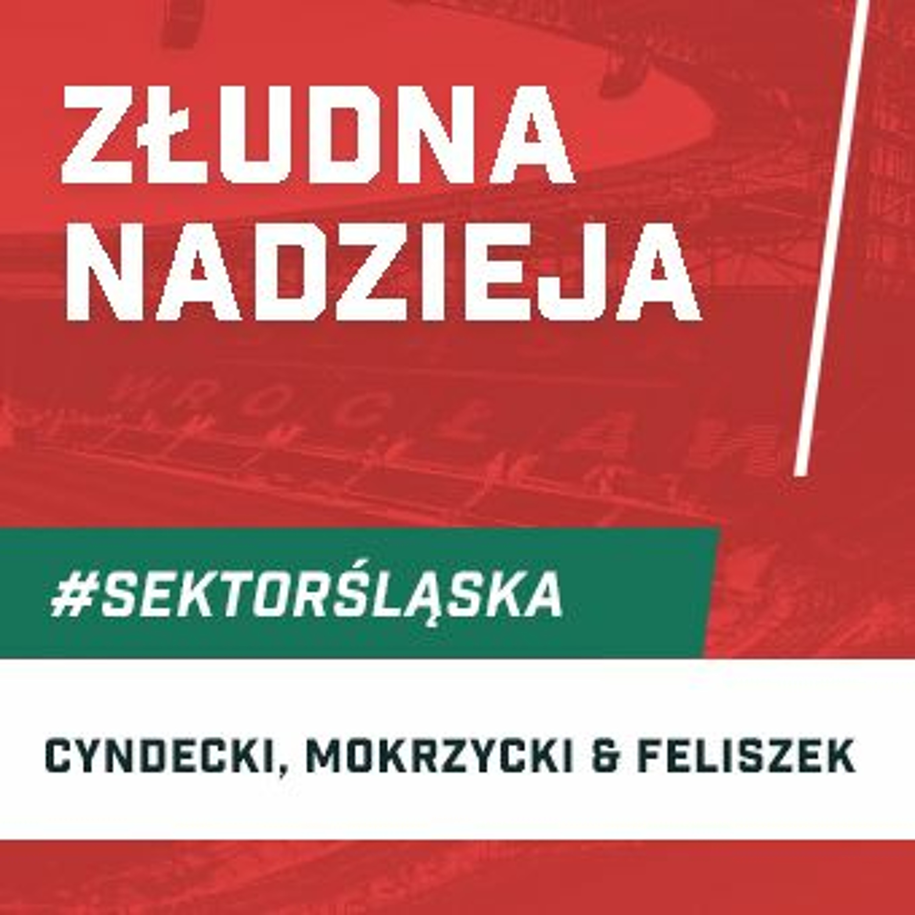 Śląsknet