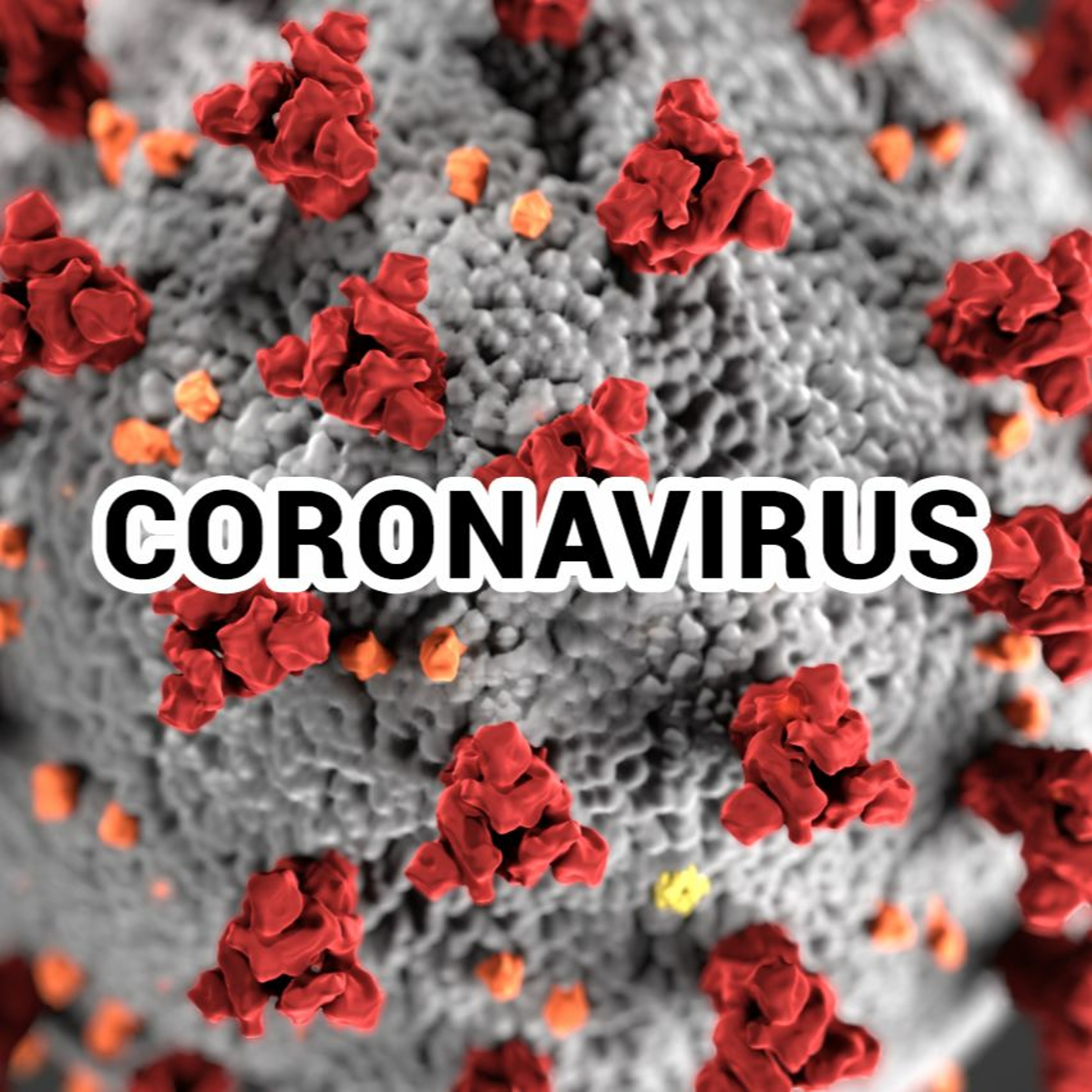 Coronavirus pandemic shutters the industry. What's next? - Episode 79 episode artwork