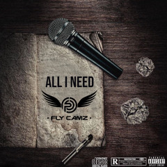 Fly Camz - All I Need