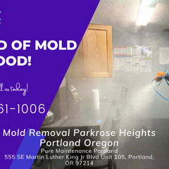 Mold Removal Parkrose Heights Portland Oregon - Pure Maintenance Portland - 503-461-1006