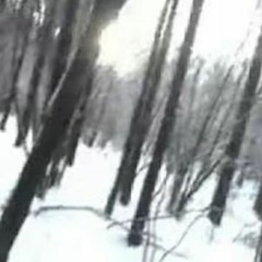 遠い場所で 君を想う