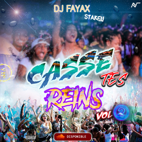 DJ FAYAX - CASSE TES REINS VOL.2