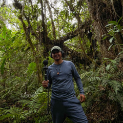 071124 / Listen Fauna / Gerardo / El Palmeral
