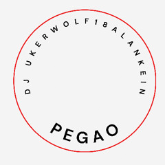 PEGAO—DJUKER,WOLF18,ALANKEIN