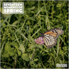 Seventeen Moments of Spring