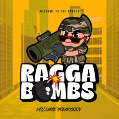 RAGGA BOMBS VOL 14 - (10 MASHUPS / EDITS For Sale)