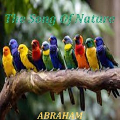The Song Of Nature