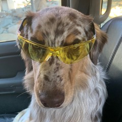 Big Sky Plaza Apres part 1