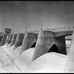 THE GUT by BIG PHARMA