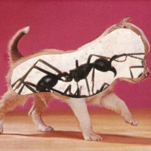 2 Tone (prod B.U.G Antman x 8Artz)