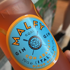 cooking egg fried rice with tanya! (PROW Mission 5)