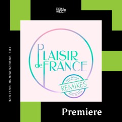 PREMIERE: Plaisir de France feat Bertrand Belin - Serpent (Damon Jee Remix) [Plaisir de France]