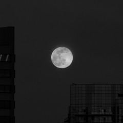 Dark Outside - Ogimaa