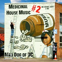 Medicinal House Music #2 - House Music Mix!