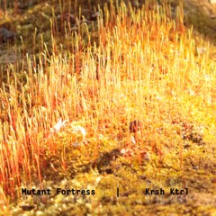 Mutant Fortress - Krsh Ktrl | Single (2022)