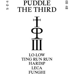 PUDDLE III