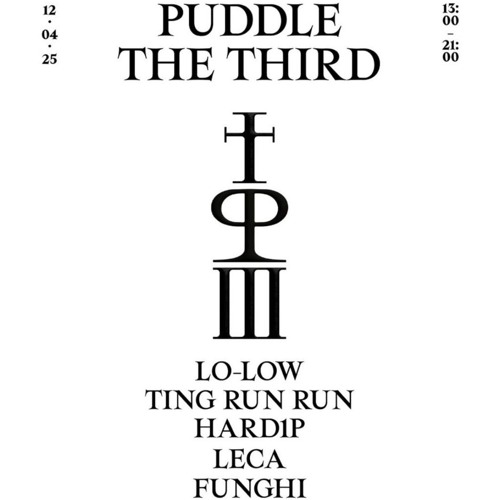 PUDDLE III