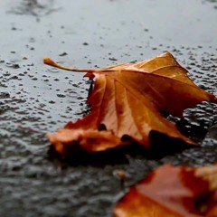 October Rain (Full-Band Demo)